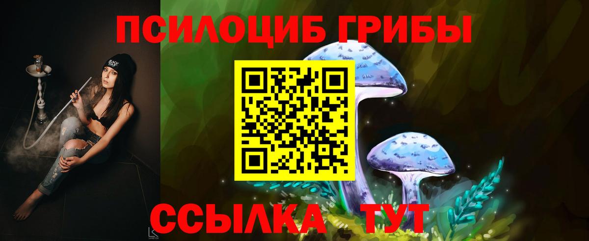 Ейск  Псилоцибиновые грибы Psilocybe  Галлюциногенные грибы Psilocybine cubensis  Вход с VPN 